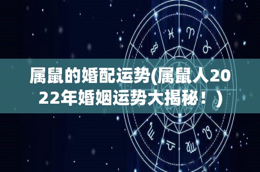 属鼠的婚配运势(属鼠人2022年婚姻运势大揭秘！)