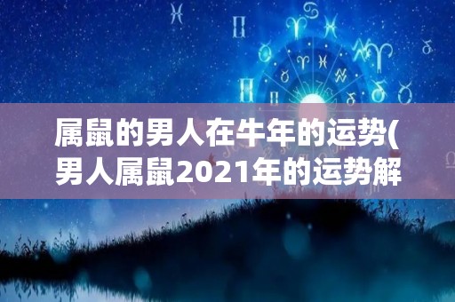 属鼠的男人在牛年的运势(男人属鼠2021年的运势解析)