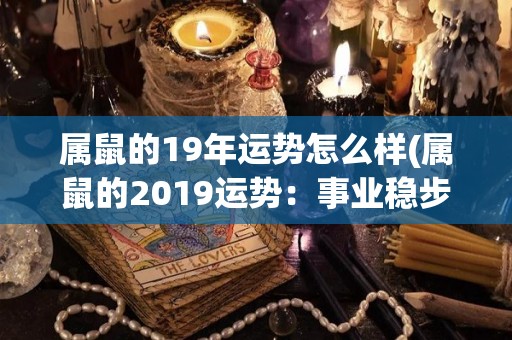 属鼠的19年运势怎么样(属鼠的2019运势：事业稳步上升，健康需注意。)