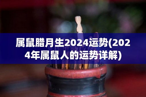 属鼠腊月生2024运势(2024年属鼠人的运势详解)