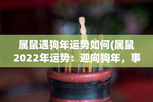 属鼠遇狗年运势如何(属鼠2022年运势：迎向狗年，事业财运稳步上升！)