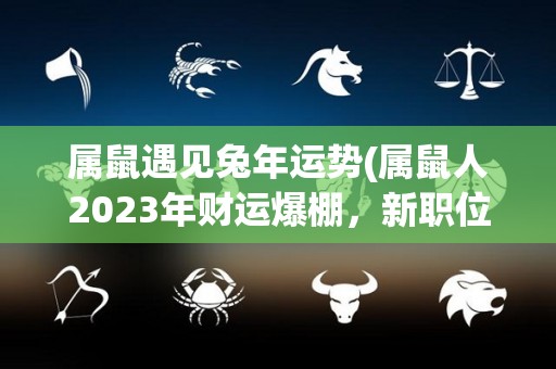 属鼠遇见兔年运势(属鼠人2023年财运爆棚，新职位等着你)