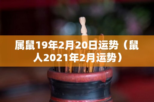 属鼠19年2月20日运势（鼠人2021年2月运势）