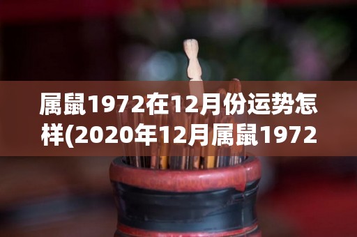 属鼠1972在12月份运势怎样(2020年12月属鼠1972年运势预测)