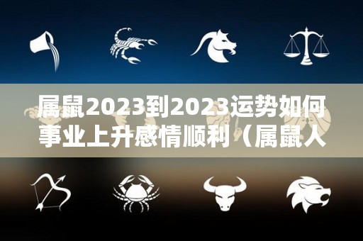 属鼠2023到2023运势如何事业上升感情顺利（属鼠人2023年的运势及运程）