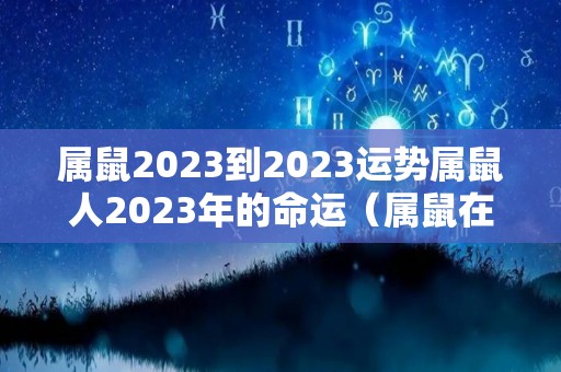 属鼠2023到2023运势属鼠人2023年的命运（属鼠在2023年运势怎么样）