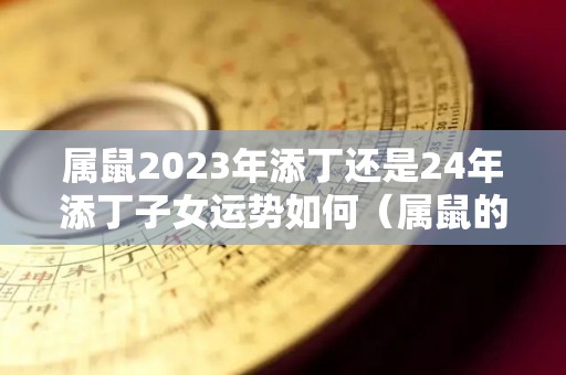 属鼠2023年添丁还是24年添丁子女运势如何（属鼠的2023）