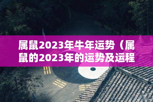 属鼠2023年牛年运势（属鼠的2023年的运势及运程）