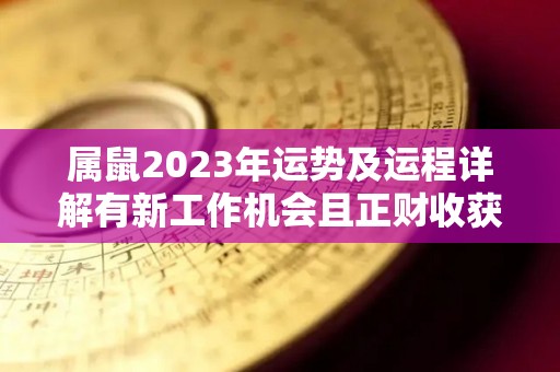 属鼠2023年运势及运程详解有新工作机会且正财收获喜人（属鼠的人2023年全年运势）