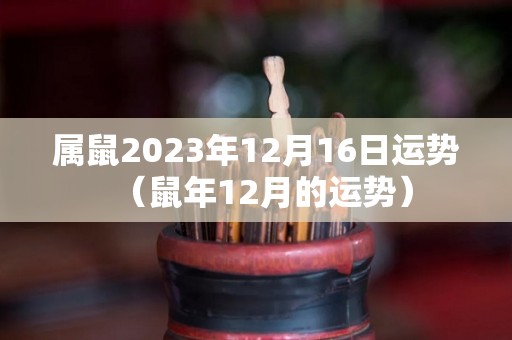 属鼠2023年12月16日运势（鼠年12月的运势）