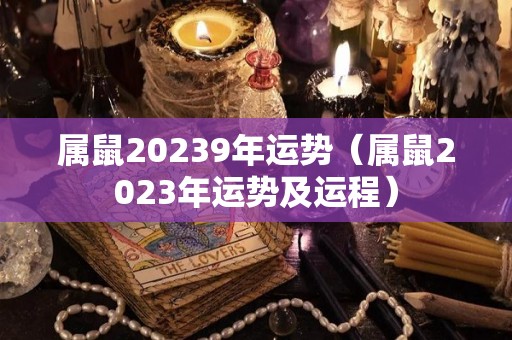 属鼠20239年运势（属鼠2023年运势及运程）