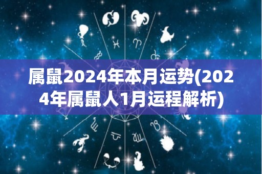 属鼠2024年本月运势(2024年属鼠人1月运程解析)