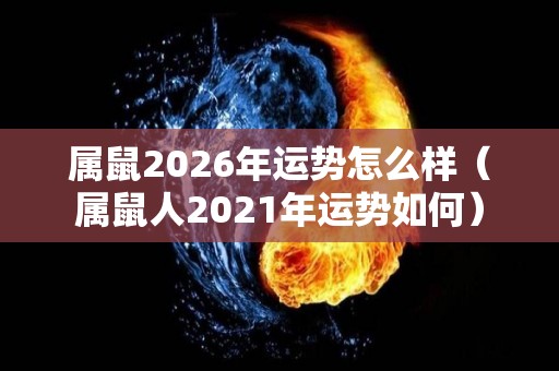 属鼠2026年运势怎么样（属鼠人2021年运势如何）