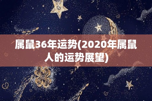 属鼠36年运势(2020年属鼠人的运势展望)