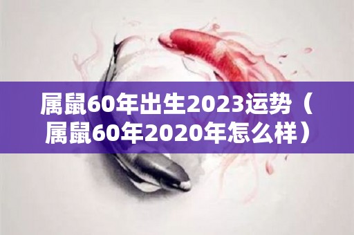 属鼠60年出生2023运势（属鼠60年2020年怎么样）