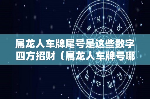 属龙人车牌尾号是这些数字四方招财（属龙人车牌号哪些数字最吉利）