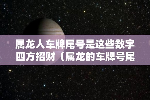 属龙人车牌尾号是这些数字四方招财（属龙的车牌号尾号是几号）