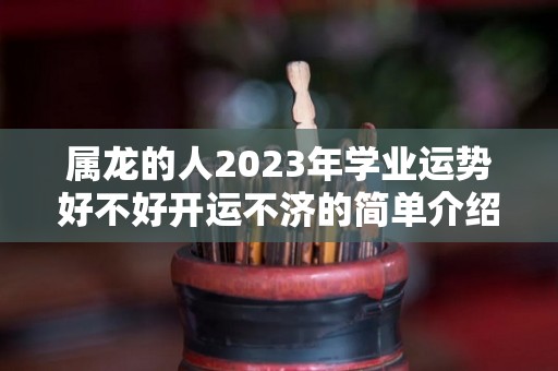 属龙的人2023年学业运势好不好开运不济的简单介绍