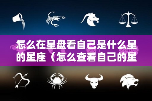 怎么在星盘看自己是什么星的星座（怎么查看自己的星盘）