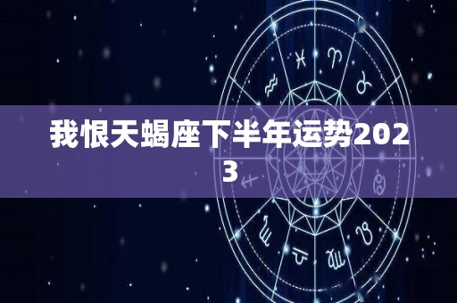 我恨天蝎座下半年运势2023