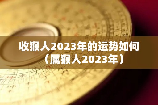 收猴人2023年的运势如何（属猴人2023年）