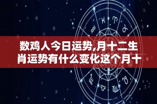 数鸡人今日运势,月十二生肖运势有什么变化这个月十二生肖运势有什么变化