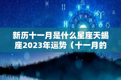 新历十一月是什么星座天蝎座2023年运势（十一月的天蝎座）