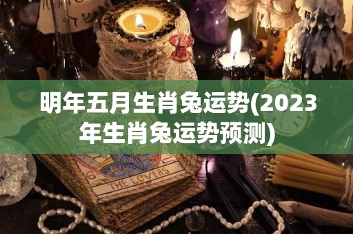 明年五月生肖兔运势(2023年生肖兔运势预测)