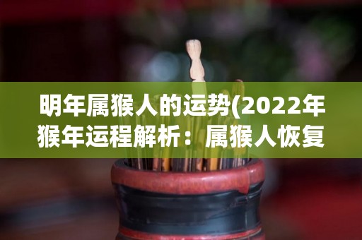 明年属猴人的运势(2022年猴年运程解析：属猴人恢复活力，财运亨通！)