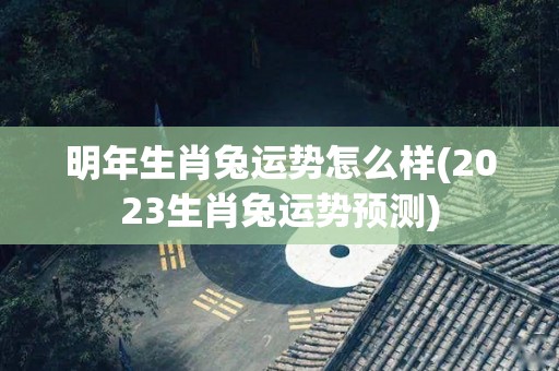 明年生肖兔运势怎么样(2023生肖兔运势预测)