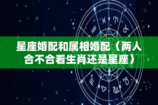 星座婚配和属相婚配（两人合不合看生肖还是星座）