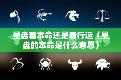 星盘看本命还是看行运（星盘的本命是什么意思）