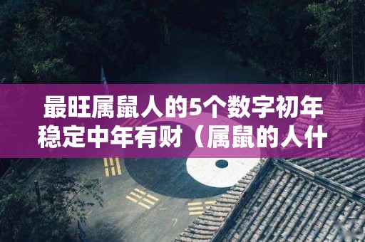 最旺属鼠人的5个数字初年稳定中年有财（属鼠的人什么数字最合适?）