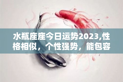 水瓶座座今日运势2023,性格相似，个性强势，能包容不善于表达，