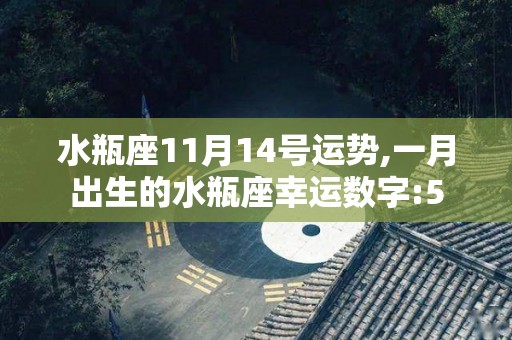 水瓶座11月14号运势,一月出生的水瓶座幸运数字:5