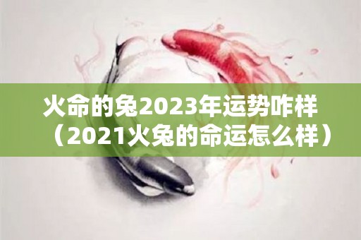 火命的兔2023年运势咋样（2021火兔的命运怎么样）