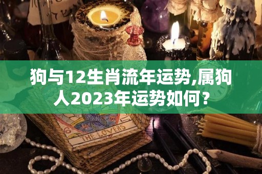 狗与12生肖流年运势,属狗人2023年运势如何？