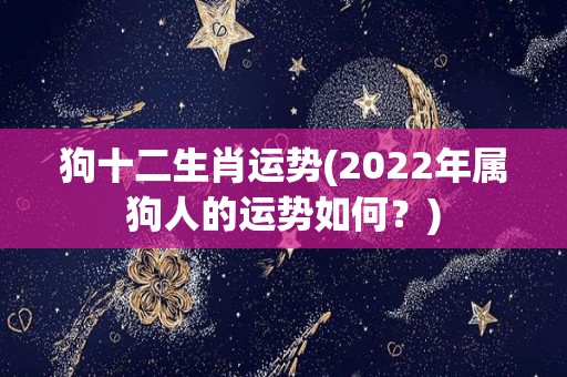 狗十二生肖运势(2022年属狗人的运势如何？)