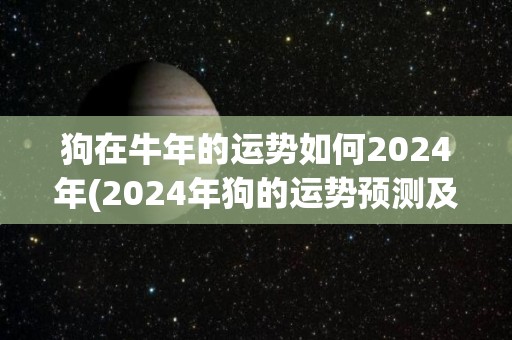 狗在牛年的运势如何2024年(2024年狗的运势预测及解析)