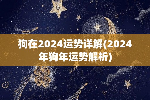 狗在2024运势详解(2024年狗年运势解析)