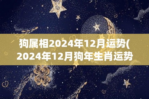 狗属相2024年12月运势(2024年12月狗年生肖运势预测)