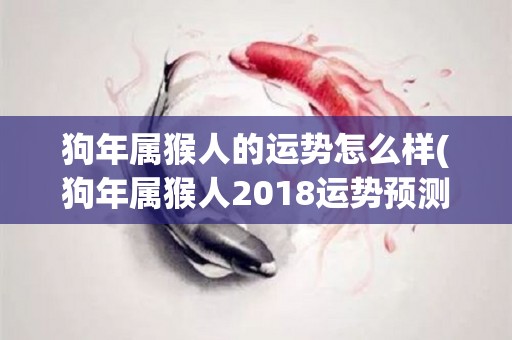 狗年属猴人的运势怎么样(狗年属猴人2018运势预测)