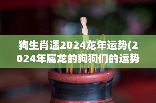 狗生肖遇2024龙年运势(2024年属龙的狗狗们的运势预测)