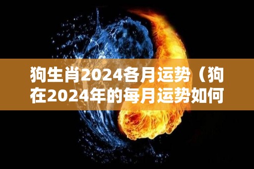 狗生肖2024各月运势（狗在2024年的每月运势如何）