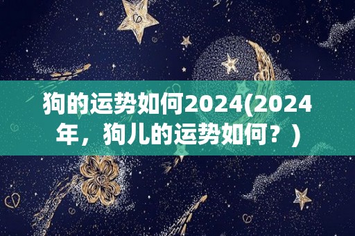 狗的运势如何2024(2024年，狗儿的运势如何？)