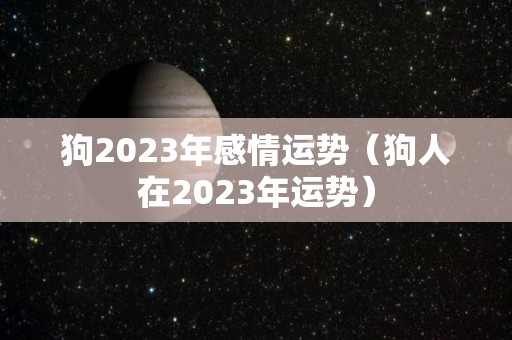 狗2023年感情运势（狗人在2023年运势）