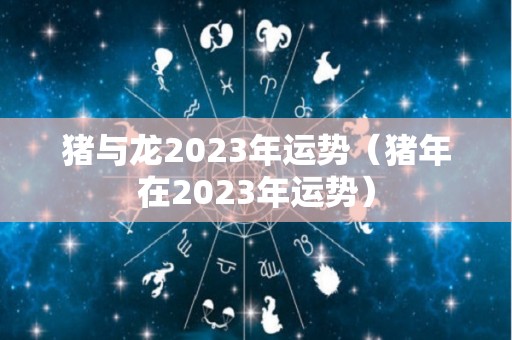 猪与龙2023年运势（猪年在2023年运势）