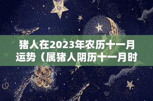 猪人在2023年农历十一月运势（属猪人阴历十一月时运2020）