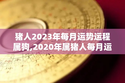 猪人2023年每月运势运程属狗,2020年属猪人每月运势运程