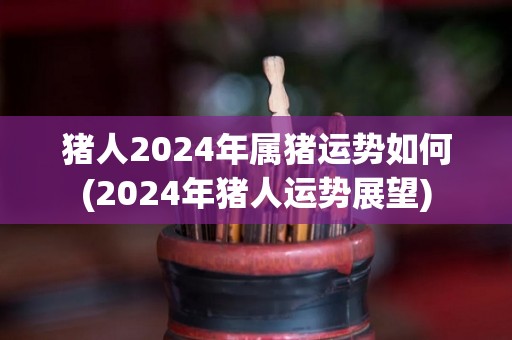 猪人2024年属猪运势如何(2024年猪人运势展望)